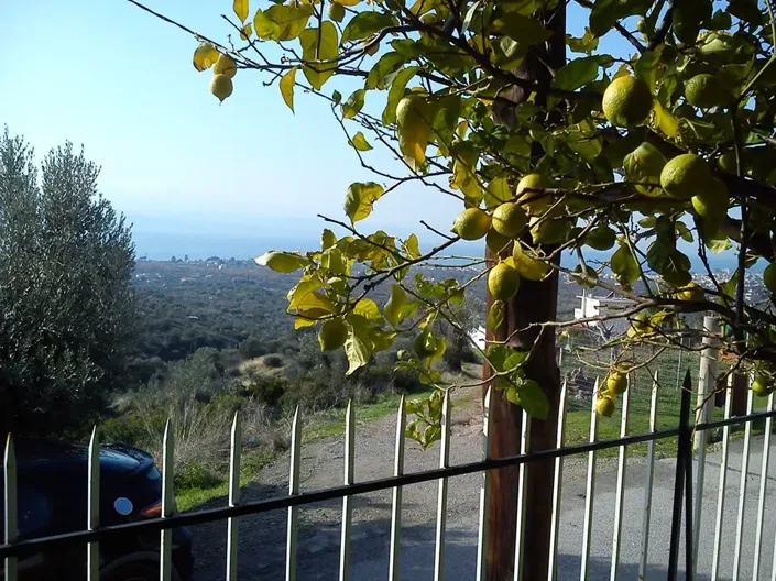 Image No.3-Villa de 3 chambres à vendre à Grèce