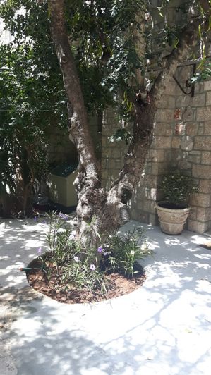 Image No.17-Villa de 4 chambres à vendre à Péloponnèse