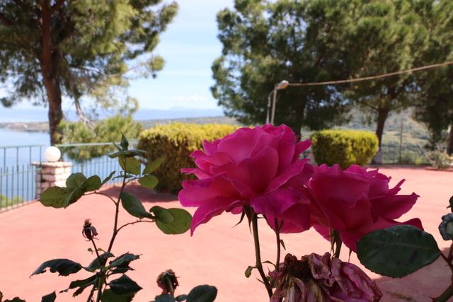 Image No.9-Maison / Villa de 3 chambres à vendre à Prévéza