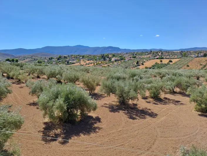 Image No.3-Maison / Villa de 5 chambres à vendre à Kalamos