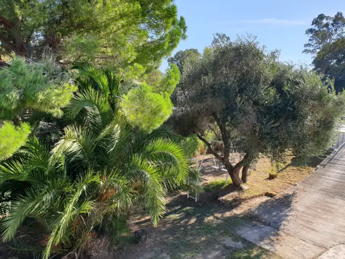 Image No.14-3 Bed House for sale