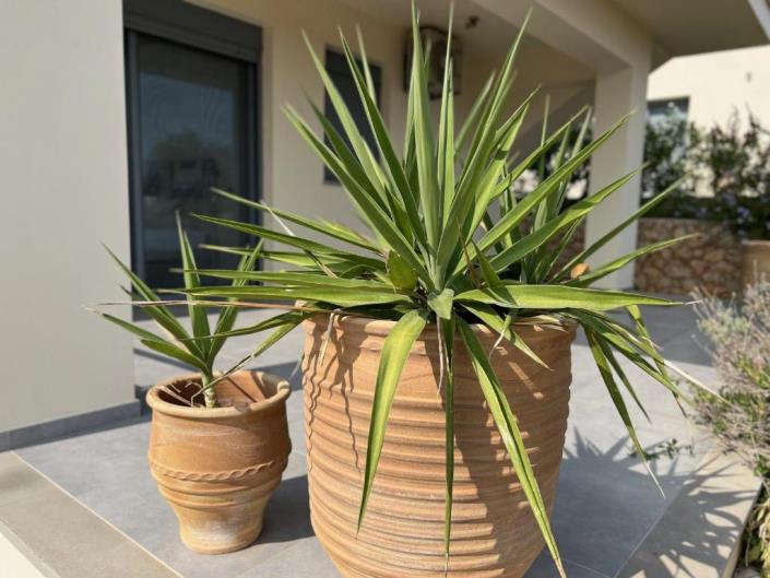 Image No.23-Maison / Villa de 4 chambres à vendre à Zante