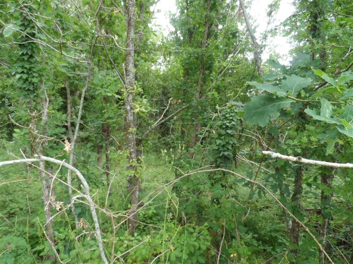 Image No.8-Propriété à vendre à France