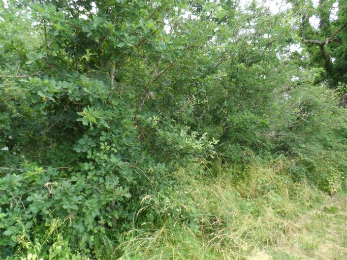 Image No.9-Propriété à vendre à France