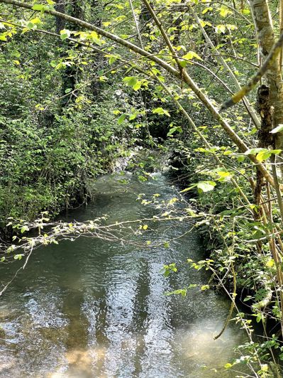 Image No.26-Propriété de 5 chambres à vendre à Dolmayrac