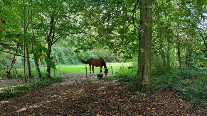 Image No.2-Propriété de 6 chambres à vendre à Melun