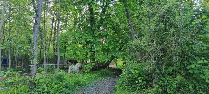 Image No.6-Propriété de 6 chambres à vendre à Melun