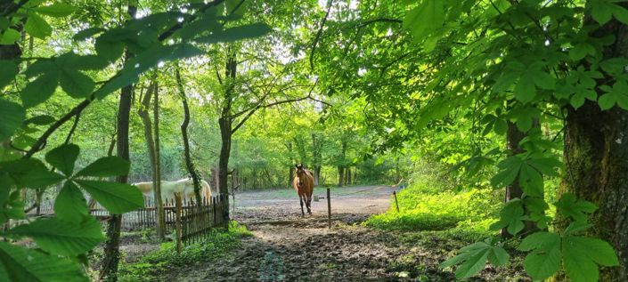 Image No.4-Propriété de 6 chambres à vendre à Melun