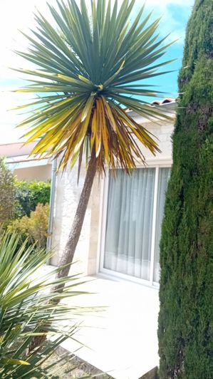 Image No.6-Propriété de 3 chambres à vendre à Les Mathes