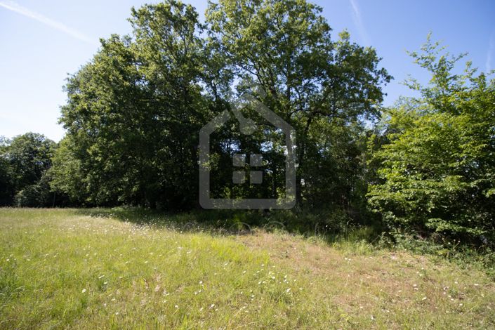 Image No.3-Propriété à vendre à Groléjac