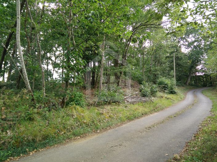 Image No.4-Propriété à vendre à Groléjac