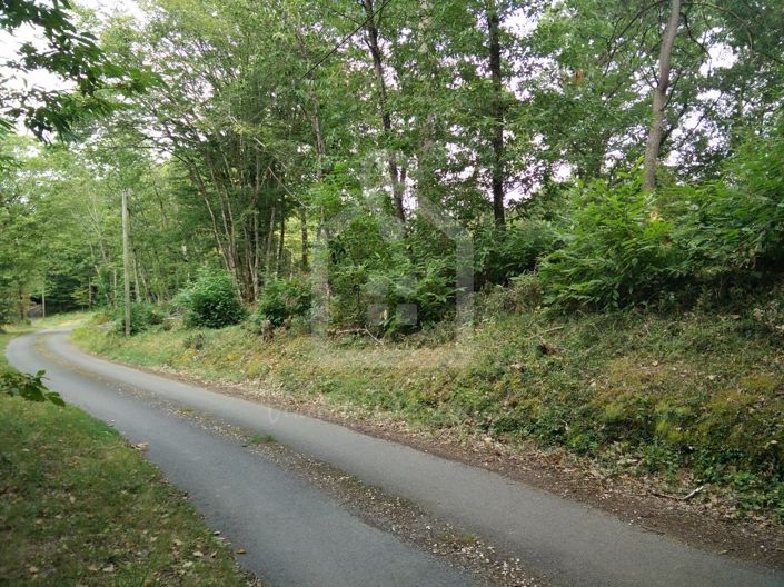 Image No.6-Propriété à vendre à Groléjac