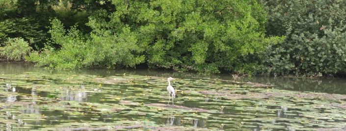 Image No.2-Propriété de 4 chambres à vendre à Samois-sur-Seine