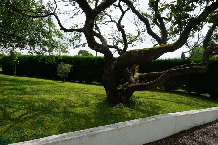 Image No.18-Maison de 3 chambres à vendre à Jumilhac-le-Grand
