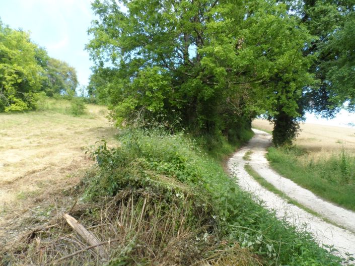 Image No.5-Propriété à vendre à Ribérac