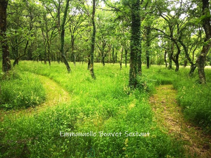 Image No.6-Propriété à vendre à Lalinde