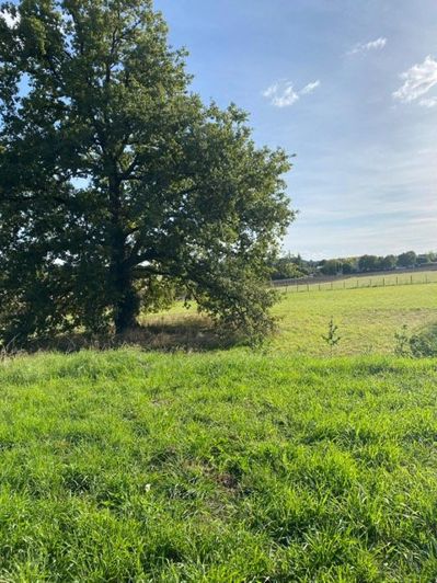 Image No.16-8 Bed Property for sale