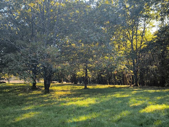 Image No.18-Maison de 6 chambres à vendre à Bergerac