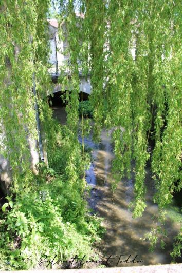 Image No.8-Property for sale