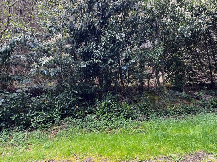 Image No.8-Propriété de 1 chambre à vendre à L'Église-aux-Bois