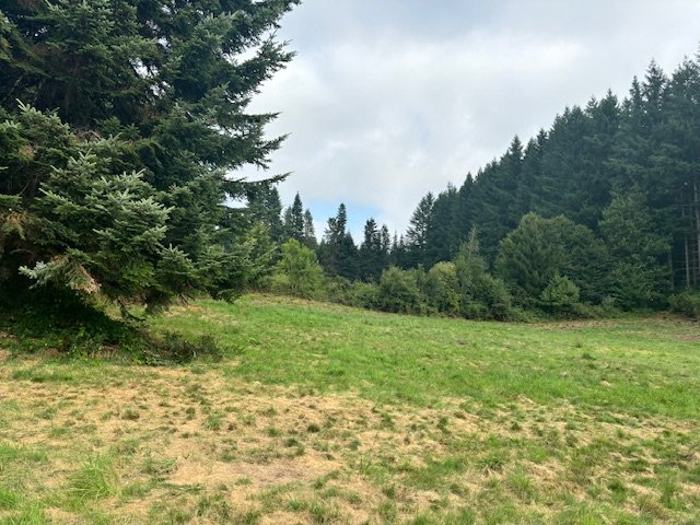 Image No.12-Propriété de 3 chambres à vendre à Ambrugeat