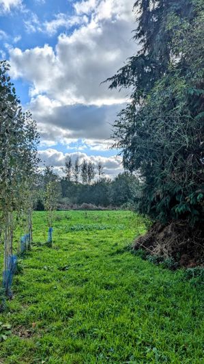 Image No.22-Propriété de 4 chambres à vendre à Lignol