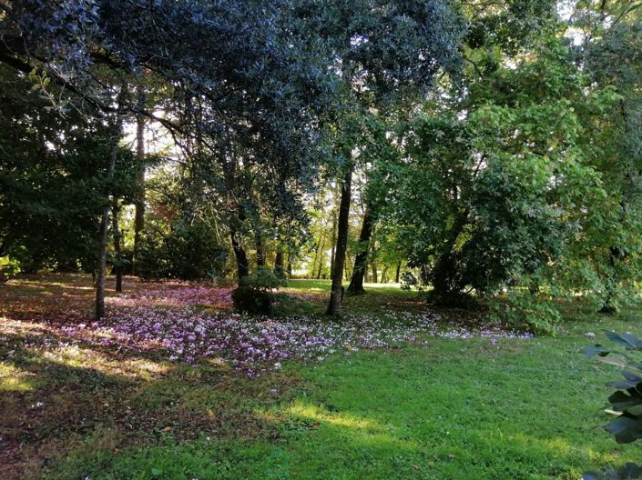 Image No.18-5 Bed Property for sale