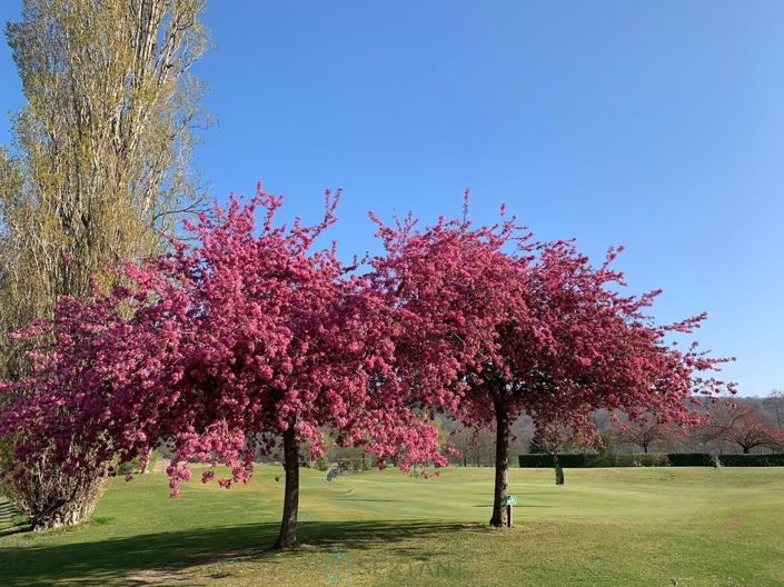 Image No.4-7 Bed Property for sale