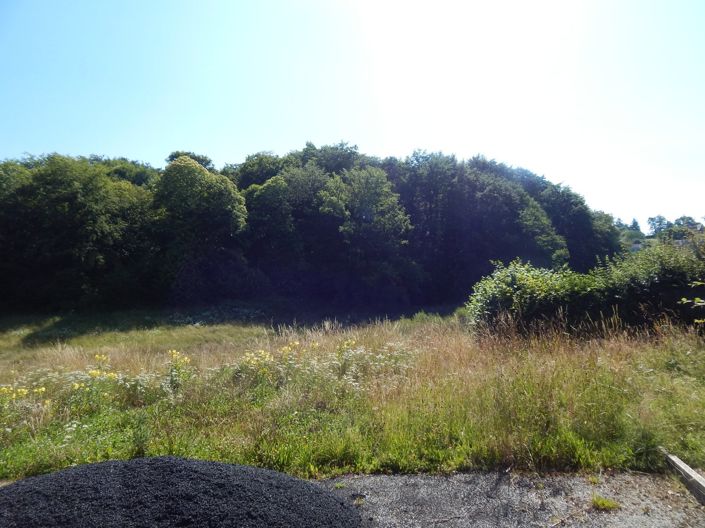 Image No.6-Propriété à vendre à Affieux