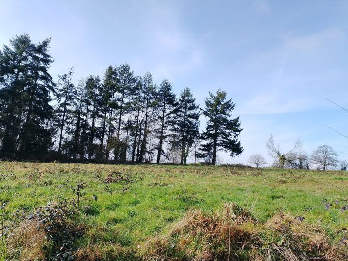 Image No.12-Maison de 2 chambres à vendre à Crédin