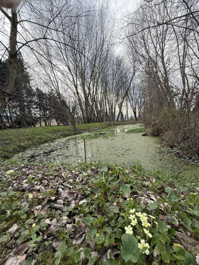 Image No.6-Propriété de 5 chambres à vendre à Reillanne