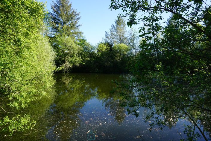 Image No.3-Propriété de 4 chambres à vendre à Corgnac-sur-l'Isle