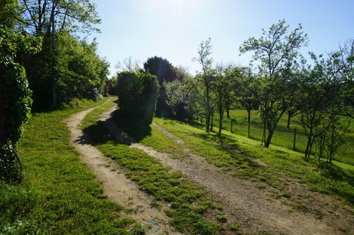 Image No.6-Propriété de 4 chambres à vendre à Corgnac-sur-l'Isle