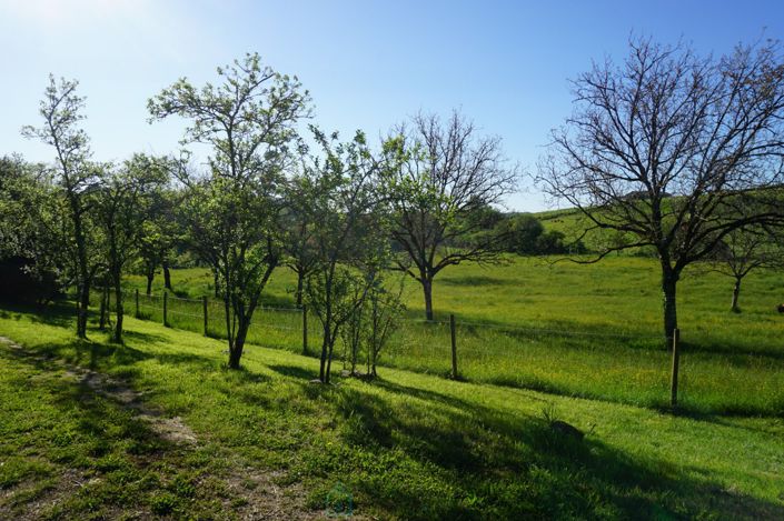 Image No.9-Propriété de 4 chambres à vendre à Corgnac-sur-l'Isle