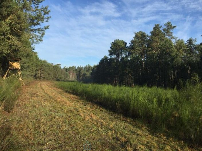Image No.7-Châteaux à vendre à Salbris