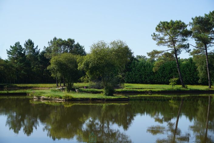 Image No.11-Propriété de 4 chambres à vendre à Nantheuil
