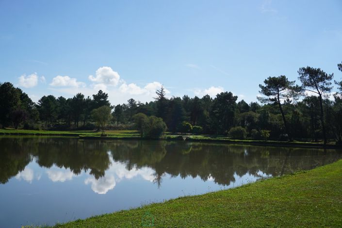 Image No.13-Propriété de 4 chambres à vendre à Nantheuil