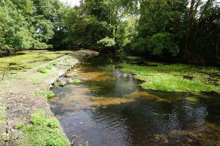 Image No.22-Propriété de 3 chambres à vendre à Champagnac-de-Belair