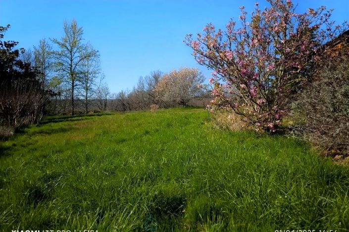Image No.17-Propriété de 7 chambres à vendre à Badefols-sur-Dordogne