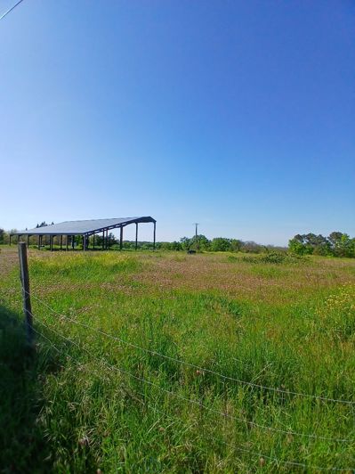 Image No.10-Property for sale