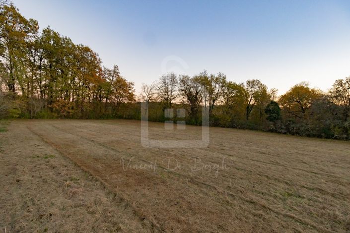 Image No.2-Propriété à vendre à France