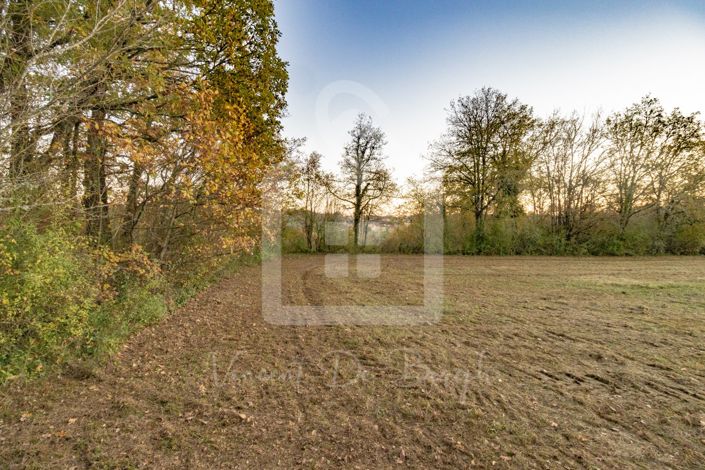 Image No.6-Propriété à vendre à France