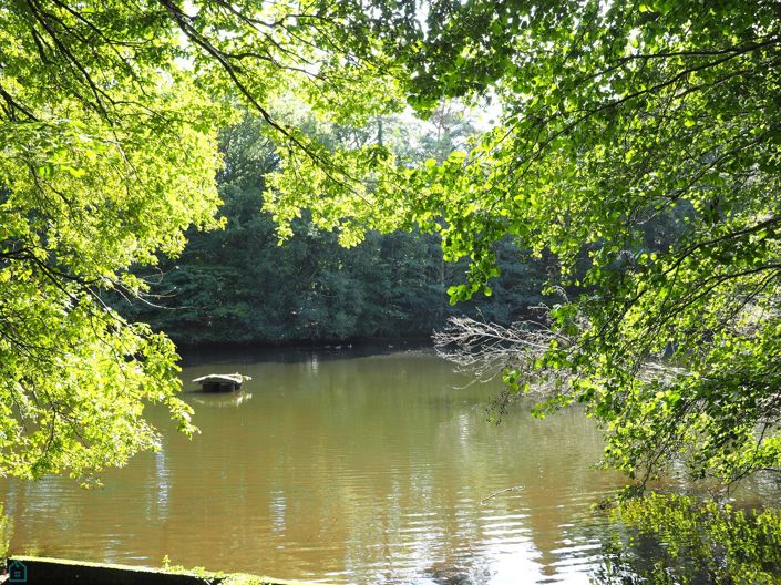 Image No.13-Propriété de 6 chambres à vendre à Hennebont