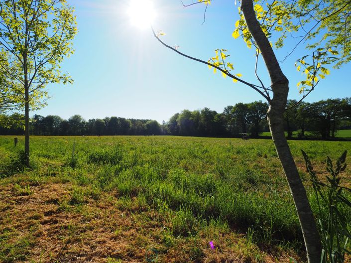 Image No.17-Maison de 4 chambres à vendre à Plouay