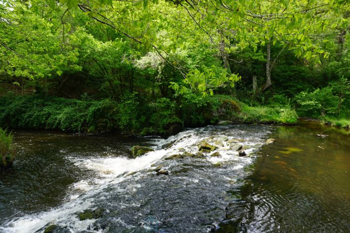 Image No.17-Propriété de 15 chambres à vendre à Abjat-sur-Bandiat
