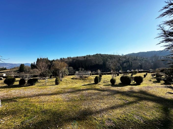Image No.21-Châteaux de 16 chambres à vendre à Le Monestier