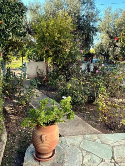 Image No.26-Maison de 4 chambres à vendre à Péloponnèse