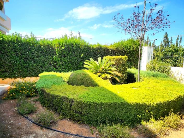 Image No.7-Maison de 4 chambres à vendre à Vrahati