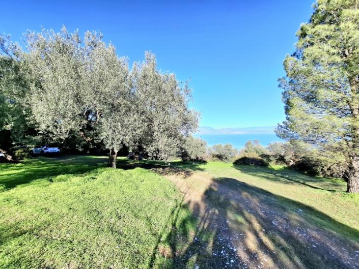 Image No.33-Maison de 3 chambres à vendre à Péloponnèse