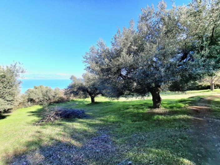 Image No.35-Maison de 3 chambres à vendre à Péloponnèse